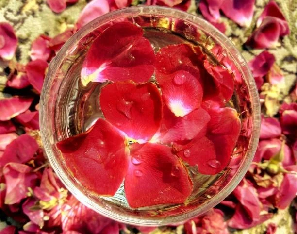 Rose Petals